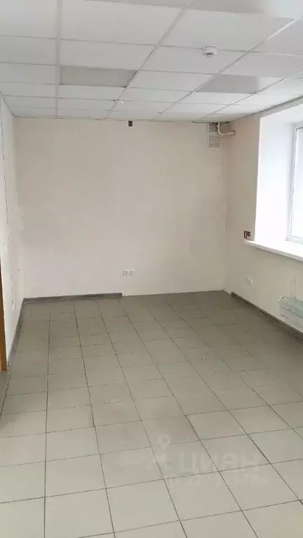 Помещение свободного назначения в Воронежская область, Воронеж ул. ... - Фото 1