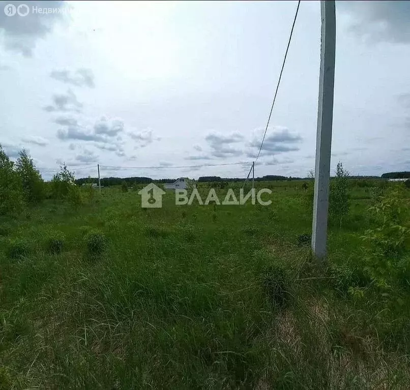 Участок в Нижегородская область, Богородский муниципальный округ, ... - Фото 1