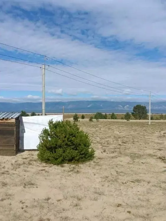 Участок в Иркутская область, Ольхонский район, пос. Хужир ул. Сосновая ... - Фото 1