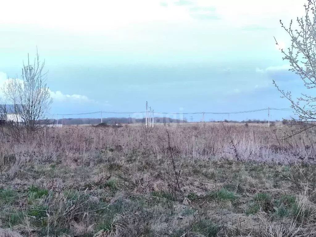 Участок в посёлок Константиновка, Добринская улица (8.1 м) - Фото 1