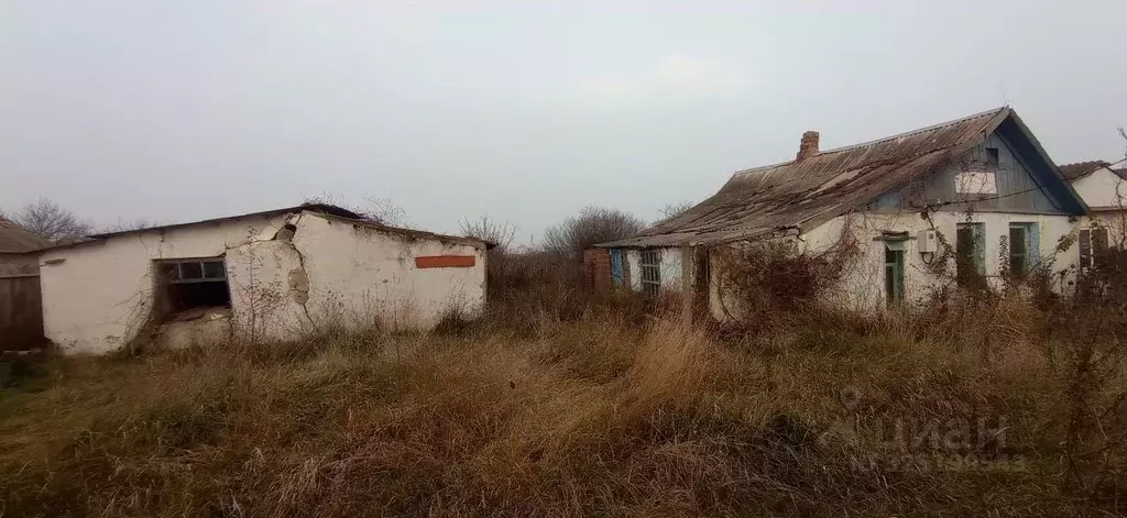 Участок в Краснодарский край, Крымский район, Адагум хут. ул. ... - Фото 1