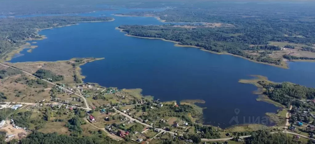 Участок в Тверская область, Осташковский муниципальный округ, д. ... - Фото 1