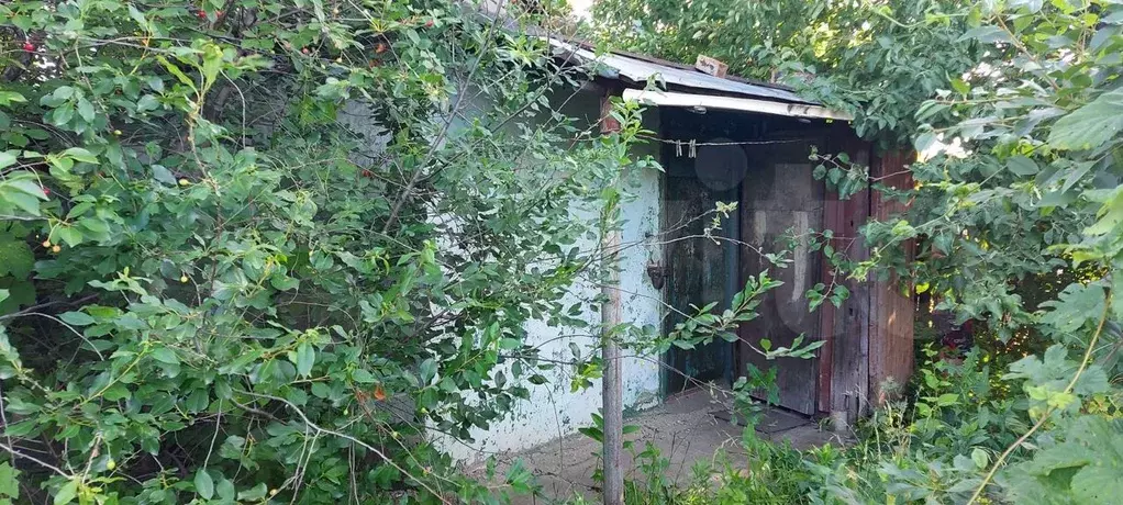 Участок 10 сот. (СНТ, ДНП) - Фото 0