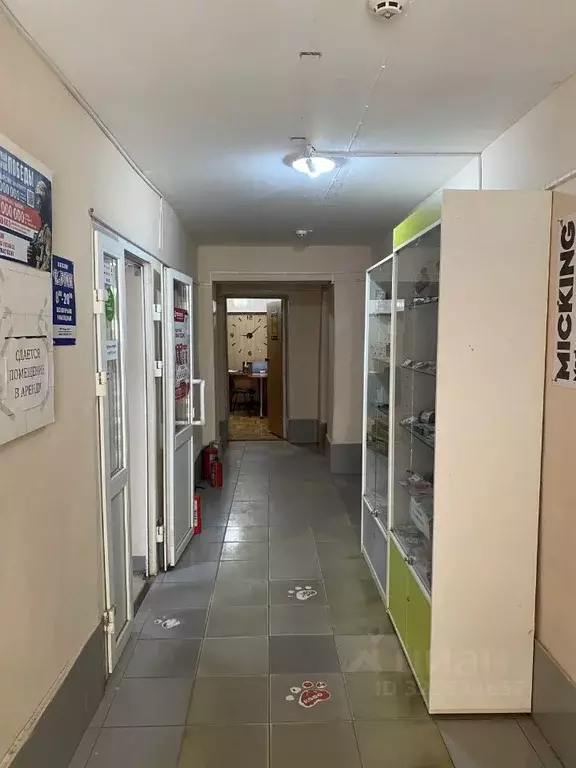 Помещение свободного назначения в Самарская область, Октябрьск ул. ... - Фото 2