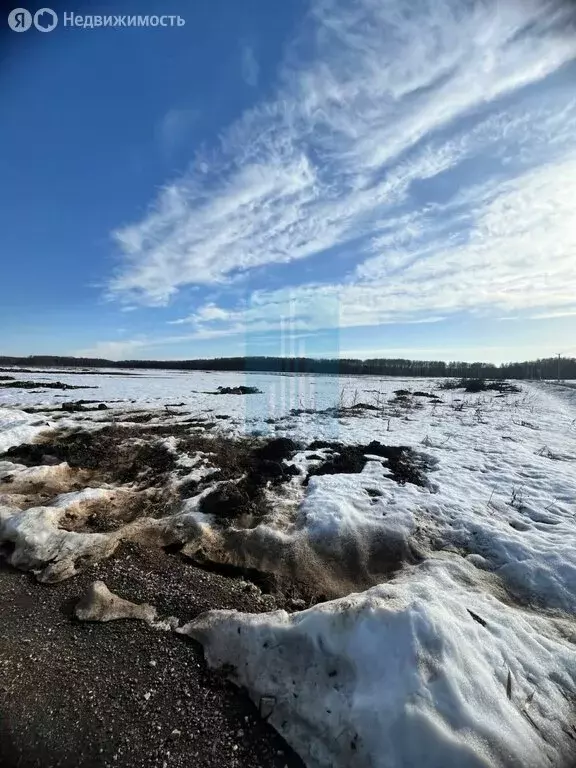 Участок в село Юсупово, коттеджный посёлок Юсупово Лайт (6 м) - Фото 1