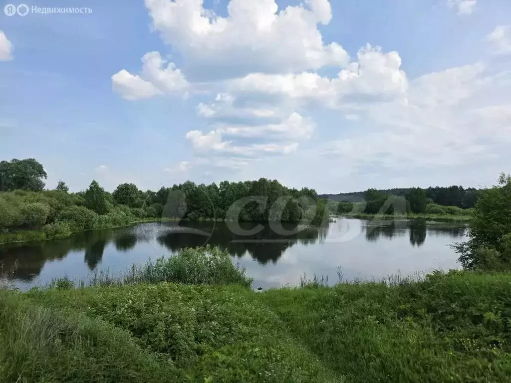 Участок в Свердловская область, Тугулымский муниципальный округ, село ... - Фото 0