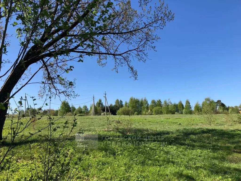 Участок в Московская область, Лосино-Петровский городской округ, с. ... - Фото 1