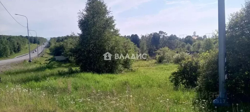 Участок в Бурятия, Кабанский район, пос. При станции Боярский ул. ... - Фото 2