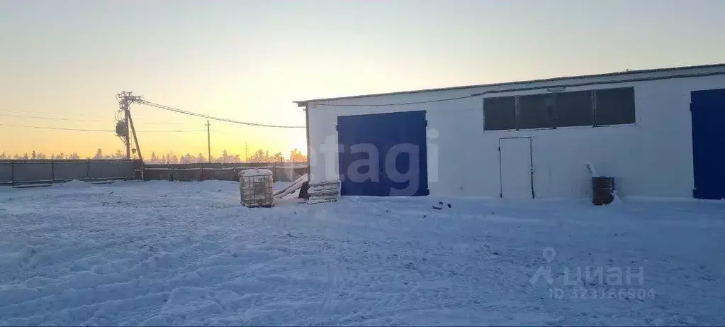 Склад в Ямало-Ненецкий АО, Новый Уренгой Таежная ул., 133 (7877 м) - Фото 2