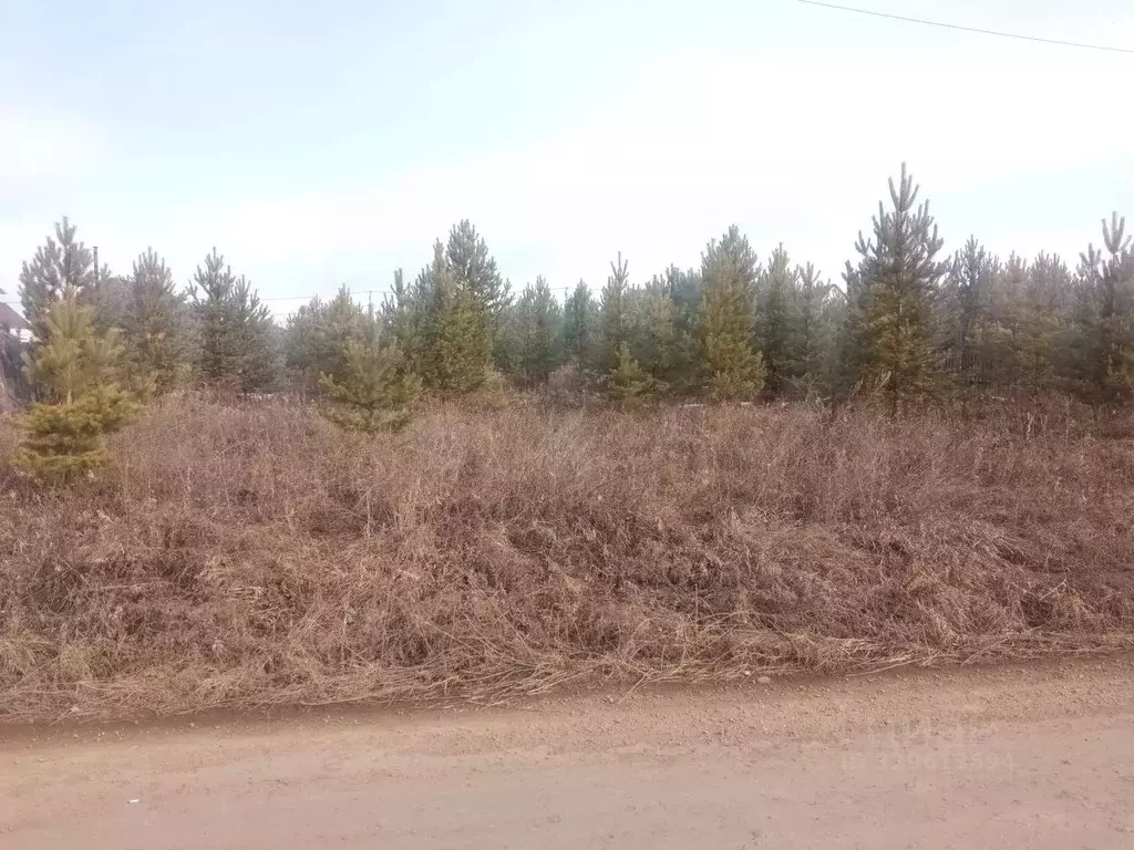 Участок в Иркутская область, Иркутский муниципальный округ, д. ... - Фото 1