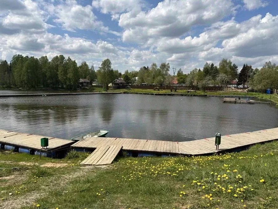 Участок в Московская область, Наро-Фоминский городской округ, д. ... - Фото 1