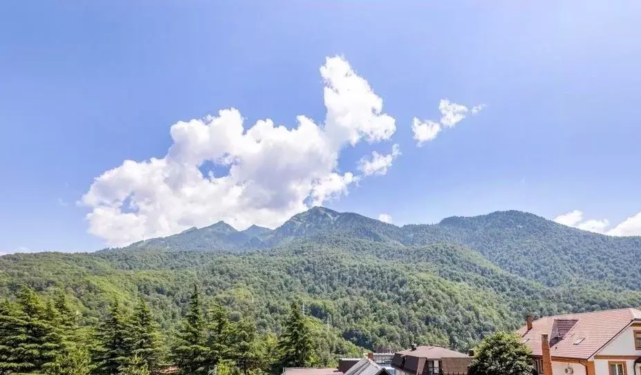 Дом в Краснодарский край, Сочи с. Эстосадок, ул. Березовая (150 м) - Фото 2