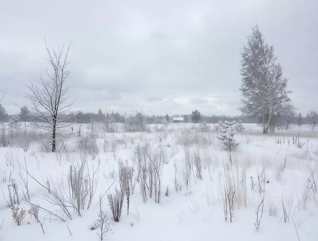 Участок в Воронежская область, Верхнехавский район, с. Углянец ул. ... - Фото 1