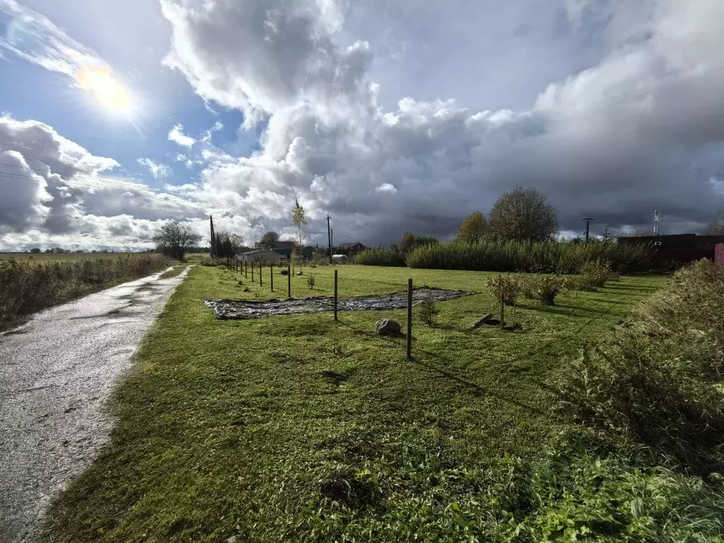 Участок в Ленинградская область, Волосовский район, Бегуницкое с/пос, ... - Фото 1