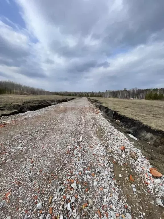 Участок в Тюменская область, Нижнетавдинский муниципальный округ, ... - Фото 1