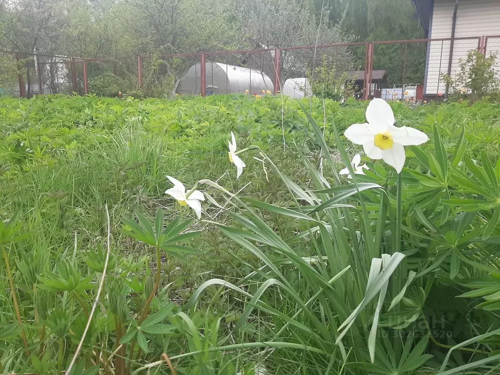 Участок в Московская область, Кашира городской округ, Дубрава СНТ 308 ... - Фото 1