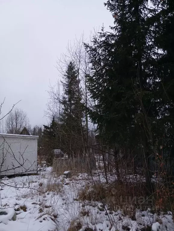 Дом в Ленинградская область, Тосненский район, Трубникоборское с/пос, ... - Фото 1