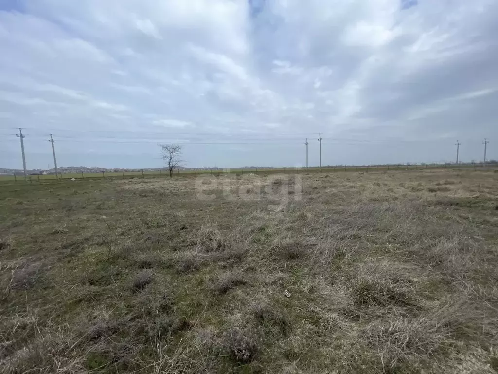 Участок в Крым, Ленинский район, Калиновское с/пос, Седой Азов ТСН 460 ... - Фото 2