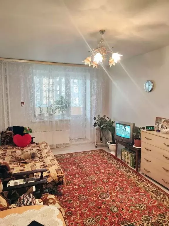 Студия Воронежская область, Воронеж Острогожская ул., 168С (27.0 м) - Фото 1