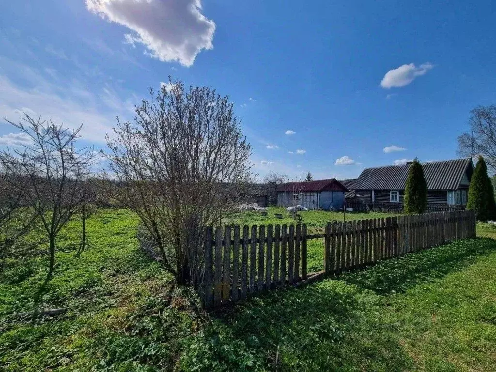 Участок в Новгородская область, Батецкий муниципальный округ, д. ... - Фото 2