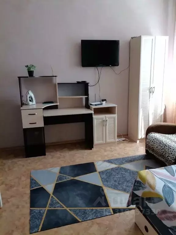 Студия Омская область, Омск просп. Мира, 9/2 (25.0 м) - Фото 2