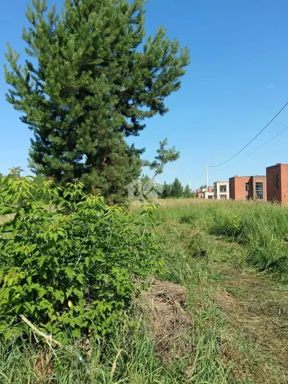 Участок в Новосибирская область, Бердск ул. Дивная (8.8 сот.) - Фото 1