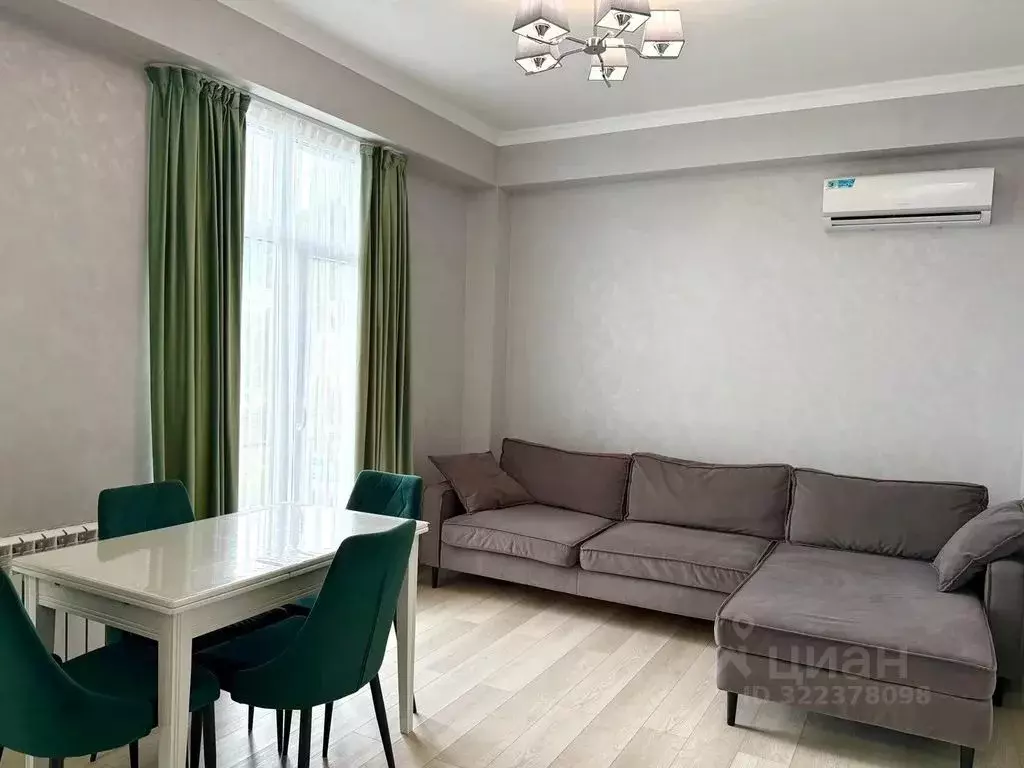 2-к кв. Краснодарский край, Сочи Виноградная ул., 244А (40.0 м) - Фото 2