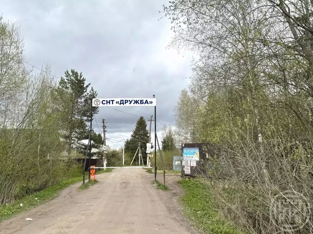 Участок в Ленинградская область, Гатчинский муниципальный округ, Чаща ... - Фото 1