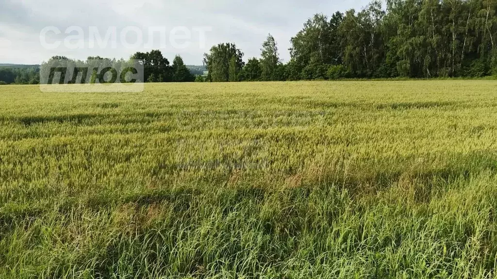 участок в оренбургская область, оренбургский район, ивановский . - Фото 1