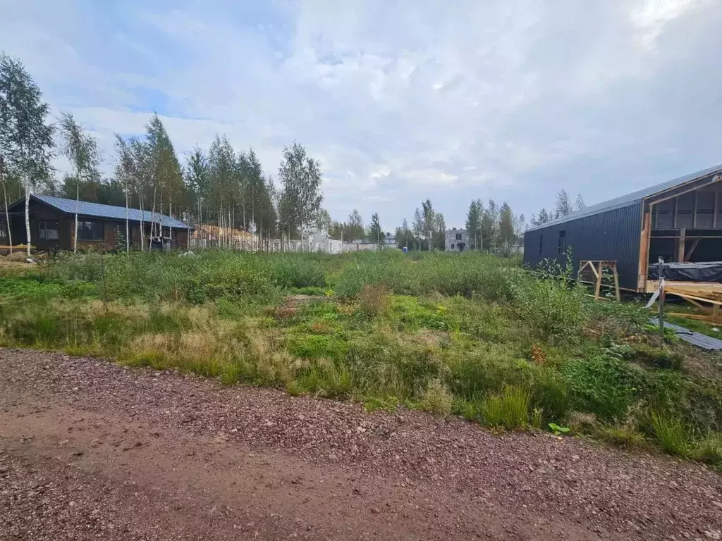 Участок в Ленинградская область, Всеволожский район, Лесколовское ... - Фото 0