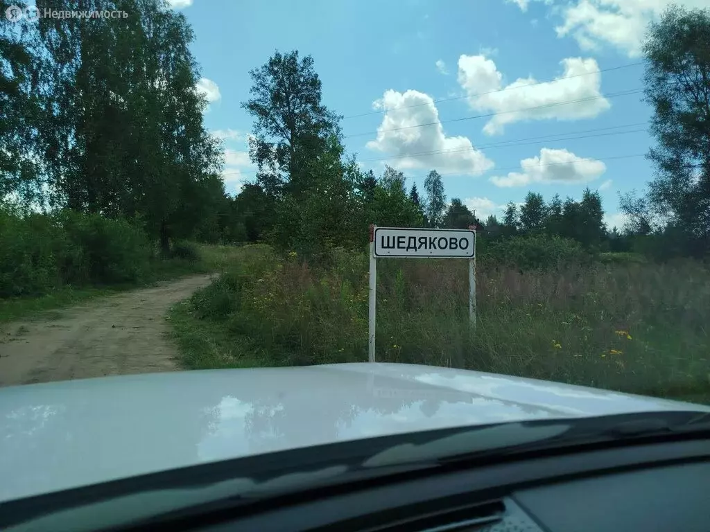 Участок в Великолукский район, Лычёвская волость, деревня Шедяково (34 ... - Фото 1