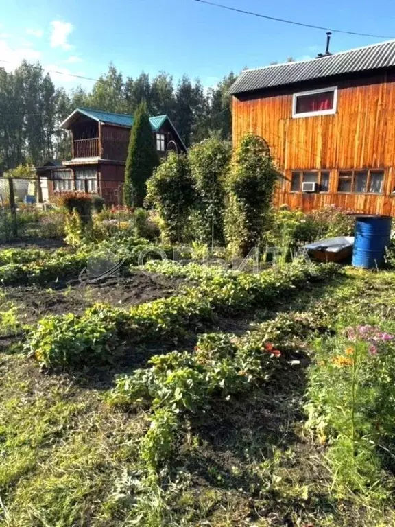 Дом в Тюменская область, Тюменский муниципальный округ, Дружба СНТ ул. ... - Фото 1