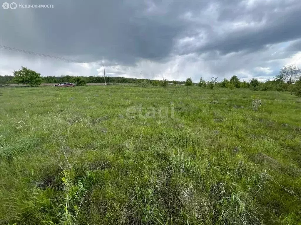 Участок в Рамонский район, село Русская Гвоздёвка, Зелёный переулок ... - Фото 1
