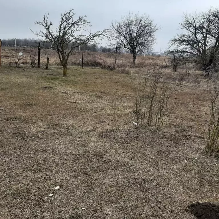 Участок в Ростовская область, Таганрог Радуга садовое товарищество, ... - Фото 1