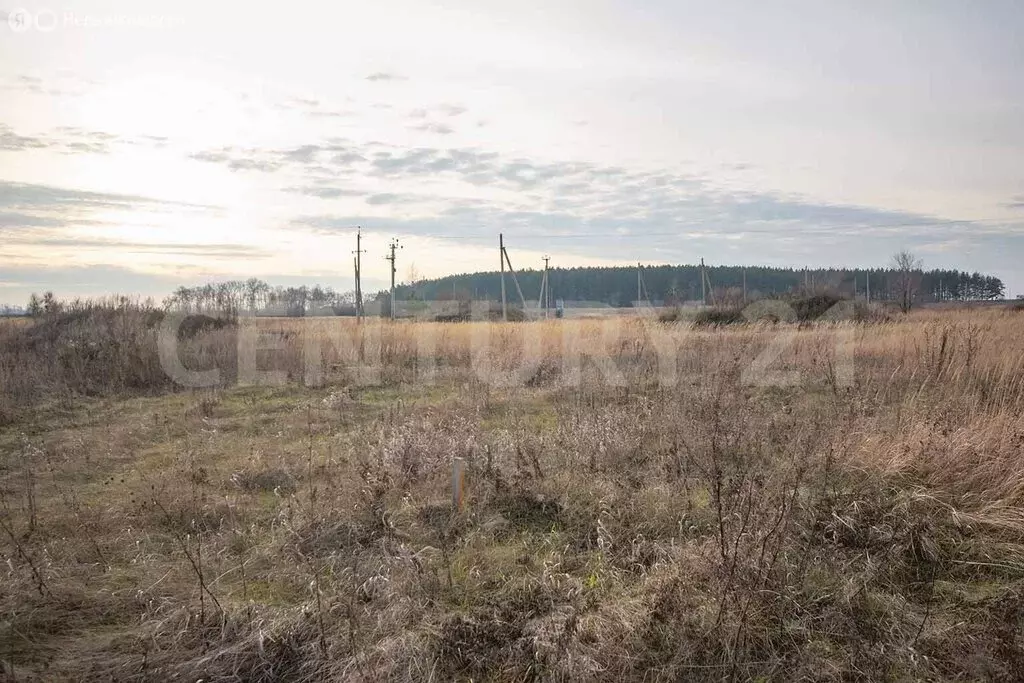 Участок в Чердаклы, Красноармейская улица (9.5 м) - Фото 1