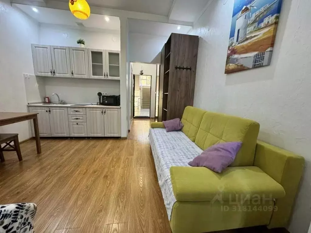1-к кв. Краснодарский край, Сочи ул. Просвещения, 118/1 (27.0 м) - Фото 1