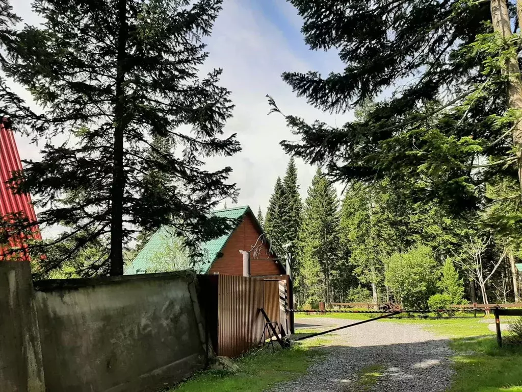 Дом в Кемеровская область, Кемеровский район, Илиндеевка СНТ  (57 м) - Фото 1
