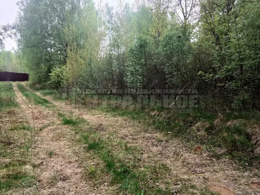 Участок в Смоленская область, Смоленский муниципальный округ, д. ... - Фото 2