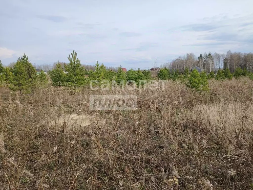 Участок в Тюменская область, Тюменский муниципальный округ, д. Зырянка ... - Фото 1