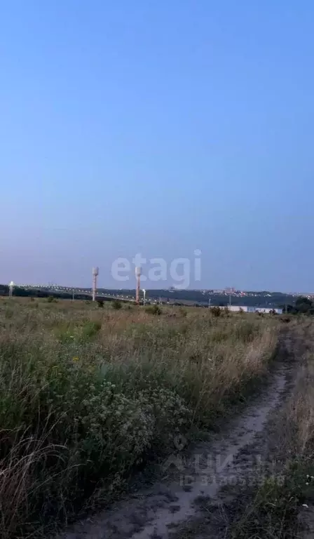 Участок в Курская область, Курский район, Моковский сельсовет, д. 1-я ... - Фото 1