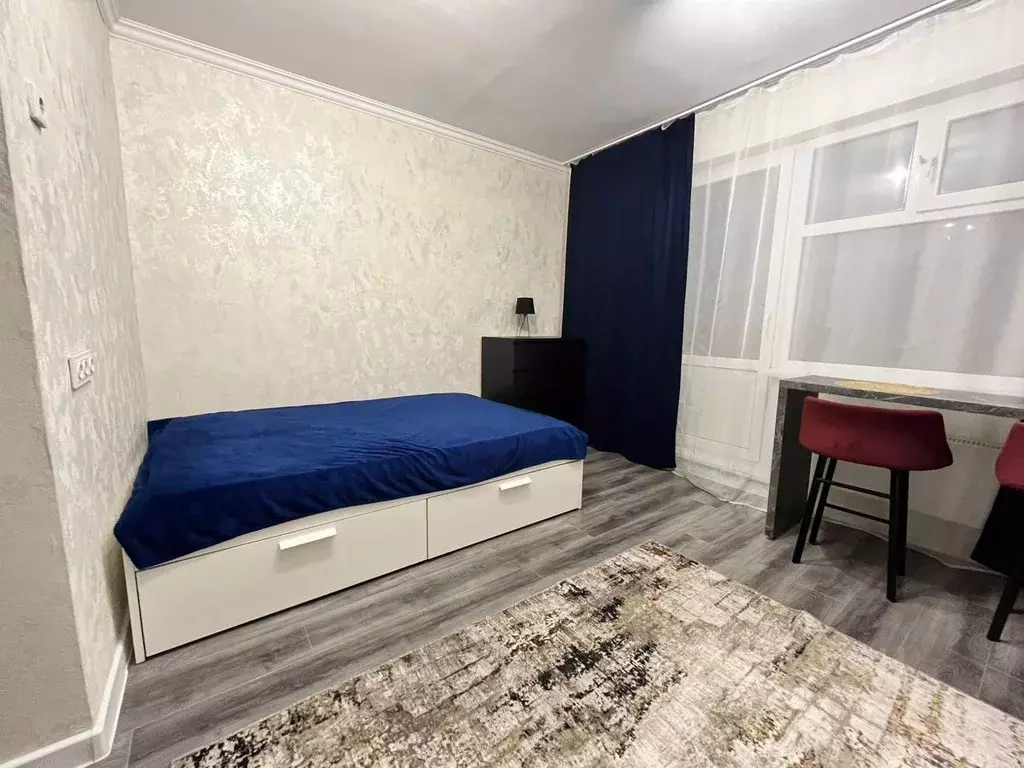 Студия Красноярский край, Красноярск ул. Петра Подзолкова, 5А (24.0 м) - Фото 1