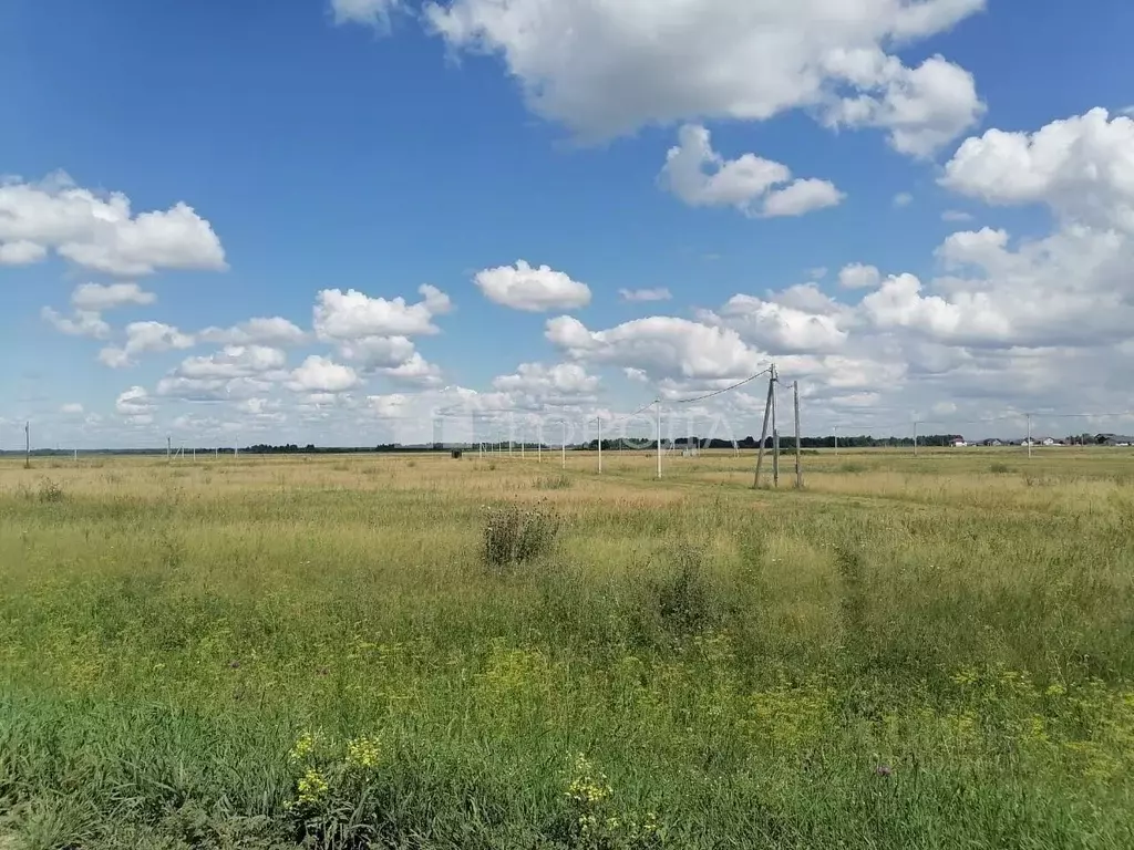 Участок в Новосибирская область, Новосибирский район, Толмачевский ... - Фото 0