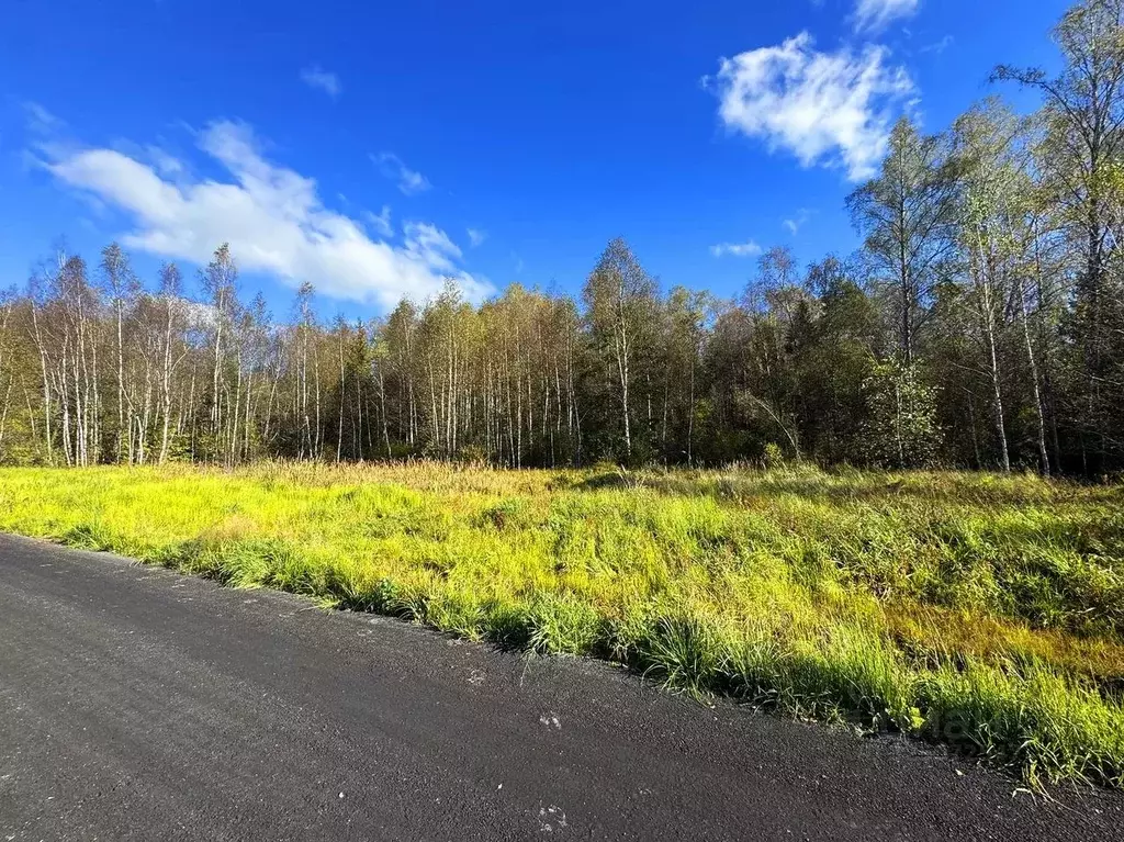 Участок в Московская область, Дмитровский муниципальный округ, ... - Фото 1