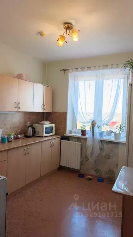 1-к кв. Челябинская область, Копейск ул. Калинина, 11 (40.2 м) - Фото 1