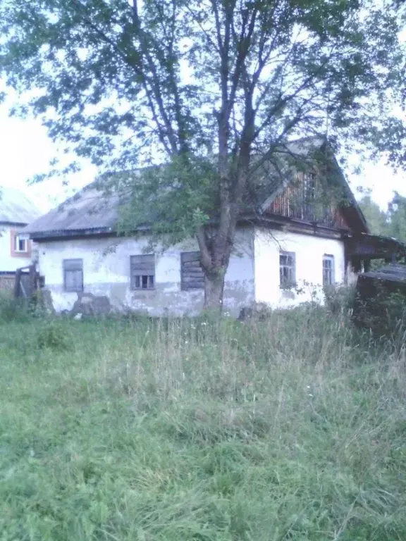 Дом в Ивановская область, Юрьевец ул. Тургенева, 47 (52 м) - Фото 1