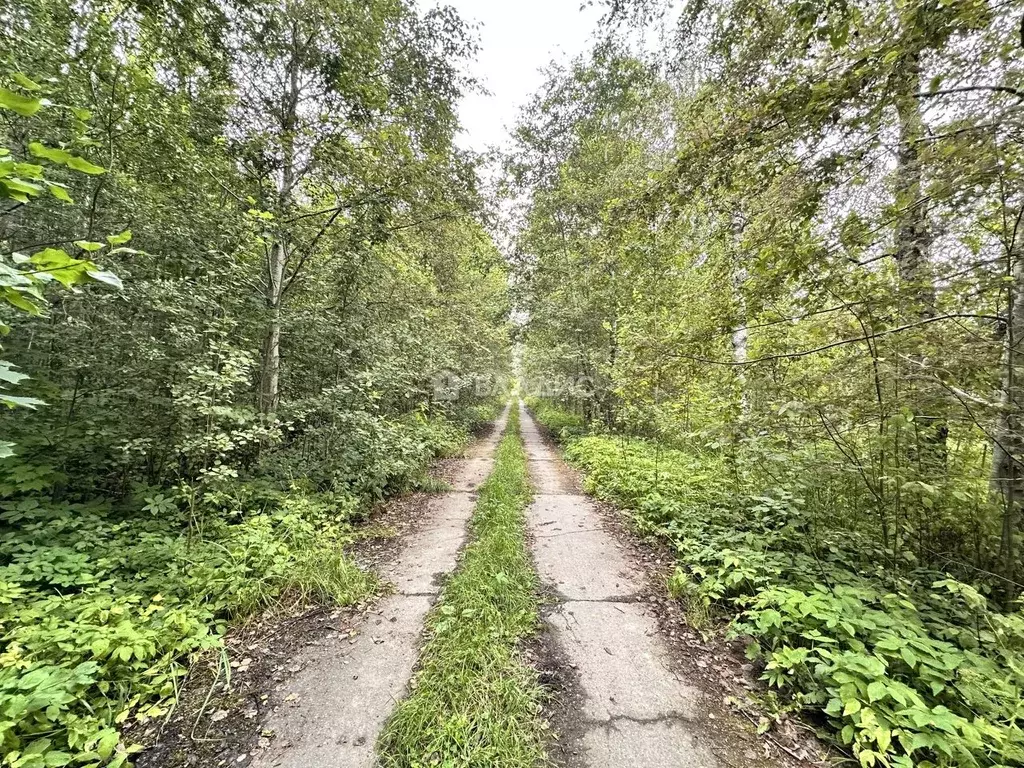 Участок в Ленинградская область, Всеволожский район, Лесколовское ... - Фото 1