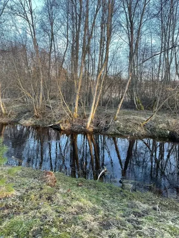 Участок в Новгородская область, Батецкий муниципальный округ, д. ... - Фото 0