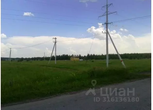 Участок в Курганская область, Кетовский муниципальный округ, Онегино ... - Фото 1