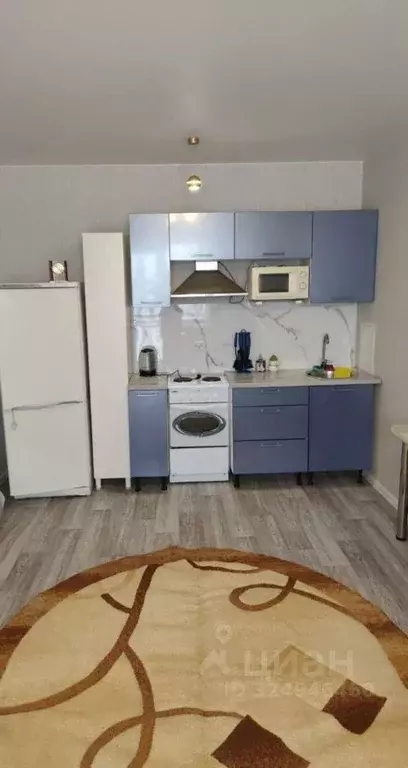 Студия Новосибирская область, Новосибирск Спортивная ул., 49 (29.0 м) - Фото 1