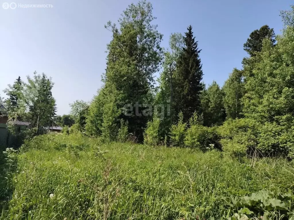 Участок в деревня Кандинка, Сибирская улица (12.3 м) - Фото 0